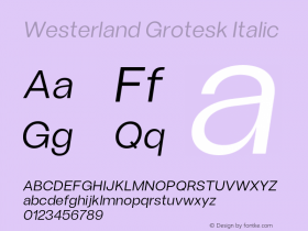 WesterlandGrotesk-RegularItalic Version 1.000;Glyphs 3.1.2 (3151)图片样张