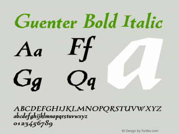 Guenter Bold Italic Version 1.000图片样张