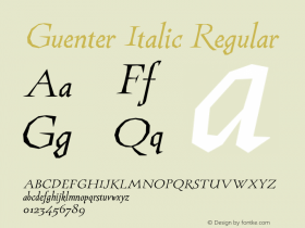 Guenter Italic Version 1.000图片样张