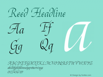 Reed Headline Version 1.000图片样张