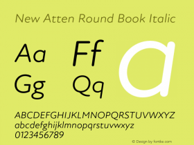 New Atten Round Book Italic Version 1.101;FEAKit 1.0图片样张