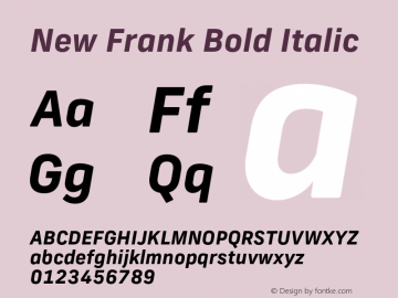 New Frank Bold Italic Version 2.101;FEAKit 1.0图片样张