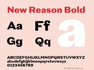 New Reason Bold Version 1.002;Glyphs 3.1.1 (3148)图片样张