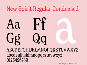 New Spirit Regular Condensed Version 1.001;FEAKit 1.0图片样张