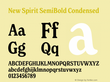 New Spirit SemiBold Condensed Version 1.001;FEAKit 1.0图片样张