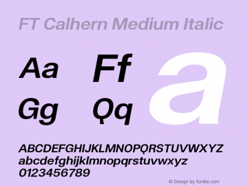 FT Calhern Medium Italic Version 1.001;Glyphs 3.1.2 (3151)图片样张