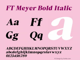 FT Meyer Bold Italic Version 1.000;Glyphs 3.1.2 (3151)图片样张