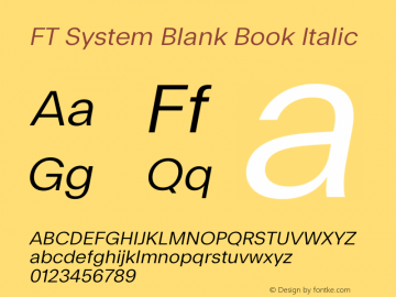 FT System Blank Book Italic Version 1.000;FEAKit 1.0图片样张