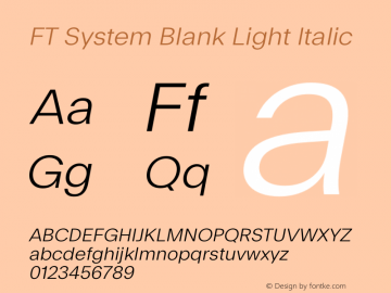 FT System Blank Light Italic Version 1.000;FEAKit 1.0图片样张