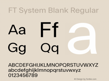 FT System Blank Regular Version 1.000;FEAKit 1.0图片样张