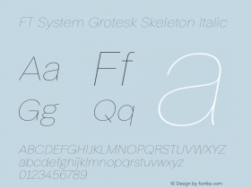 FT System Grotesk Skeleton Italic Version 1.000;FEAKit 1.0图片样张