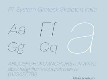 FT System Grotesk Skeleton Italic Version 1.000;FEAKit 1.0图片样张