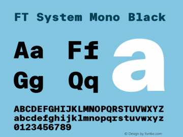 FT System Mono Black Version 1.000;FEAKit 1.0图片样张