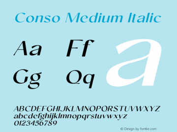 Conso-MediumItalic Version 1.000;hotconv 1.0.109;makeotfexe 2.5.65596图片样张