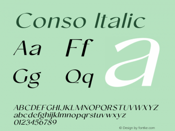 Conso-RegularItalic Version 1.000;hotconv 1.0.109;makeotfexe 2.5.65596图片样张