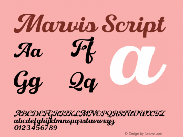 Marvis Script Version 1.000;hotconv 1.0.109;makeotfexe 2.5.65596图片样张