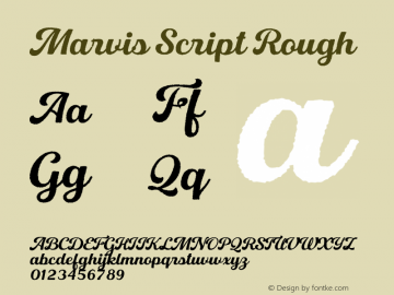 Marvis Script Rough Version 1.000;hotconv 1.0.109;makeotfexe 2.5.65596图片样张