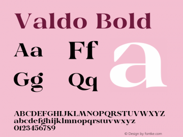 Valdo Bold Version 1.000;hotconv 1.0.109;makeotfexe 2.5.65596图片样张