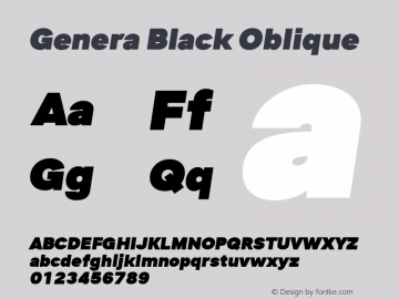 Genera Black Oblique Version 1.000图片样张