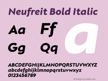 Neufreit Bold Italic Version 1.000;hotconv 1.0.109;makeotfexe 2.5.65596图片样张