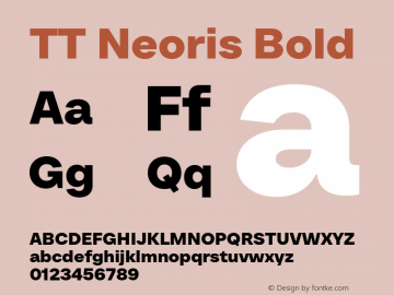 TT Neoris Bold Version 1.000.18082023图片样张