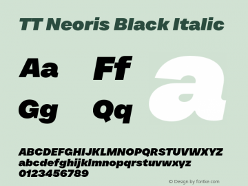 TT Neoris Black Italic Version 1.000.18082023图片样张