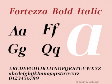 Fortezza-BoldItalic Version 1.000图片样张