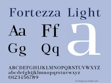 Fortezza-Light Version 1.000图片样张