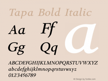 Tapa-BoldItalic Version 001.001图片样张