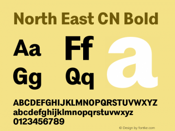 North East CN Bold Version 1.001;Glyphs 3.1.2 (3151)图片样张