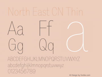 North East CN Thin Version 1.001;Glyphs 3.1.2 (3151)图片样张