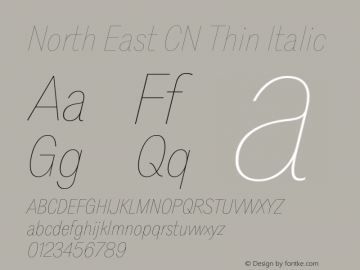 North East CN Thin Italic Version 1.001;Glyphs 3.1.2 (3151)图片样张