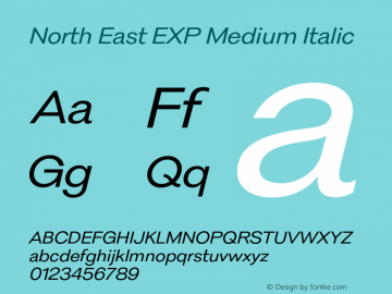 North East EXP Medium Italic Version 1.001;Glyphs 3.1.2 (3151)图片样张