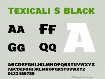 Texicali S Black Version 1.000图片样张