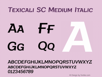 Texicali SC Medium Italic Version 1.000图片样张