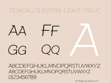 Texicali S Extra Light Italic Version 1.000图片样张