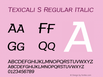 Texicali S Regular Italic Version 1.000图片样张