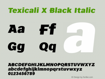 Texicali X Black Italic Version 1.000图片样张