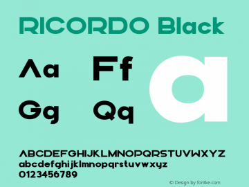 RICORDO Black Version 1.000;FEAKit 1.0图片样张