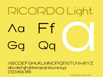 RICORDO Light Version 1.000;FEAKit 1.0图片样张