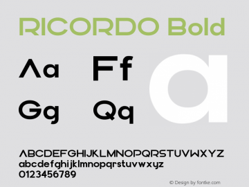 RICORDO Bold Version 1.000;FEAKit 1.0图片样张