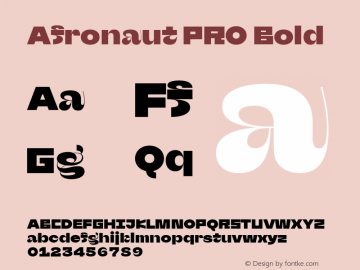 Afronaut PRO Bold Version 1.000;Glyphs 3.2 (3238)图片样张