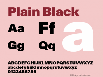 Plain Black Version 3.000; build 0005图片样张