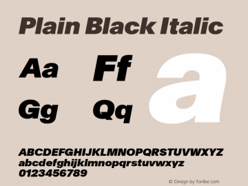 Plain Black Italic Version 3.000; build 0005图片样张