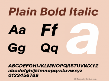 Plain Bold Italic Version 3.000; build 0005图片样张