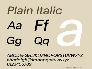 Plain Italic Version 3.000; build 0005图片样张