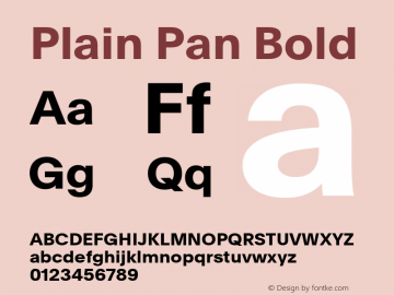 Plain Pan Bold Version 1.005; build 0005图片样张