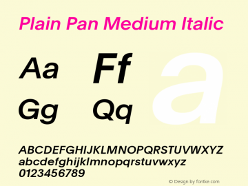 Plain Pan Medium Italic Version 1.005; build 0005图片样张