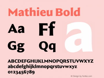 Mathieu Bold Version 1.000;Glyphs 3.2 (3238)图片样张