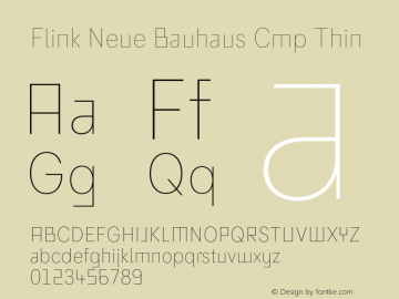 Flink Neue Bauhaus Cmp Thin Version 2.100;Glyphs 3.1.2 (3150)图片样张